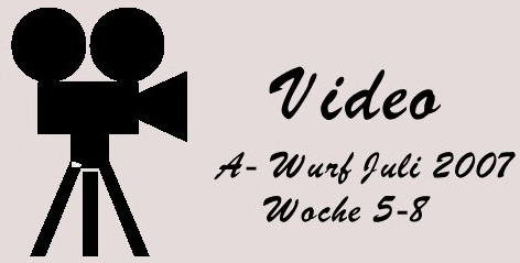 Video A Wurf Woche 5 bis 8