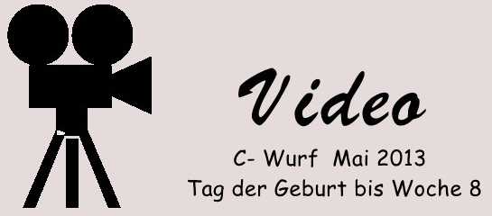 Video C Wurf